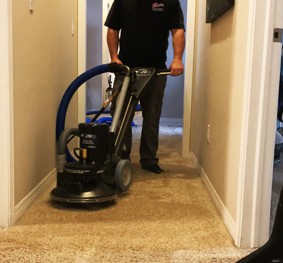 Carpet Cleaning Services