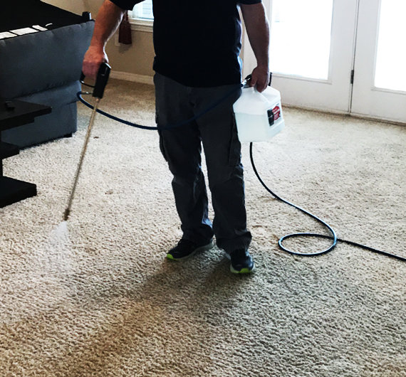 Carpet Cleaning