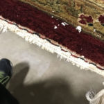 Area Carpet Cleaning