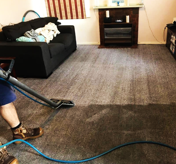 Wall to Wall Carpet Cleaning