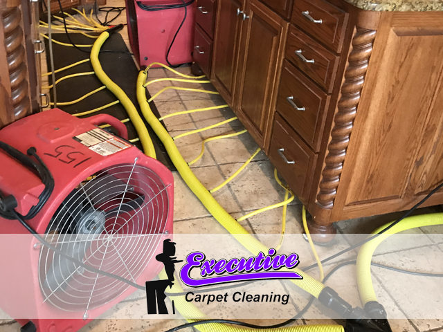 Water Restoration Process Enid