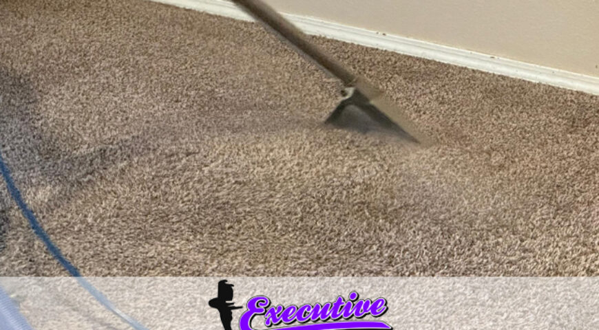 The Expert Guide to Carpet Cleaning Services in Aline, OK by Executive Water Restoration