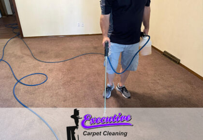 Expert Carpet Cleaning Services in Cleo Springs, OK: Executive Water Restoration