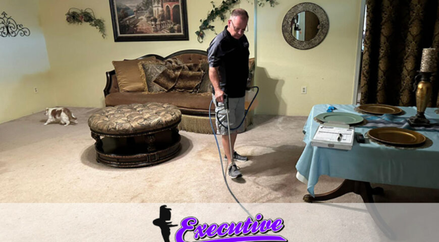 Revitalize Your Home in Drummond, OK: Expert Carpet Cleaning by Executive Water Restoration