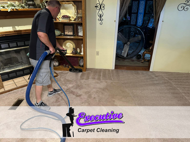 Carpet Cleaning Services