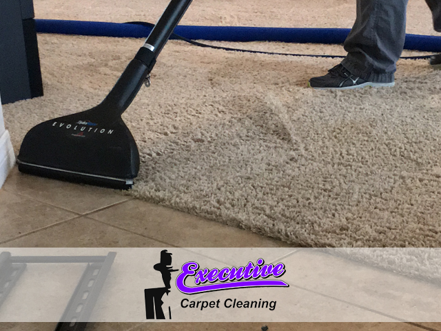 Carpet Cleaning Services