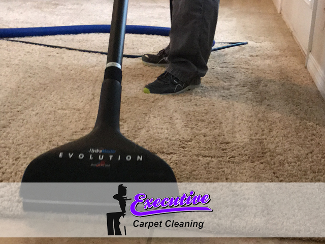 Carpet Cleaning Services