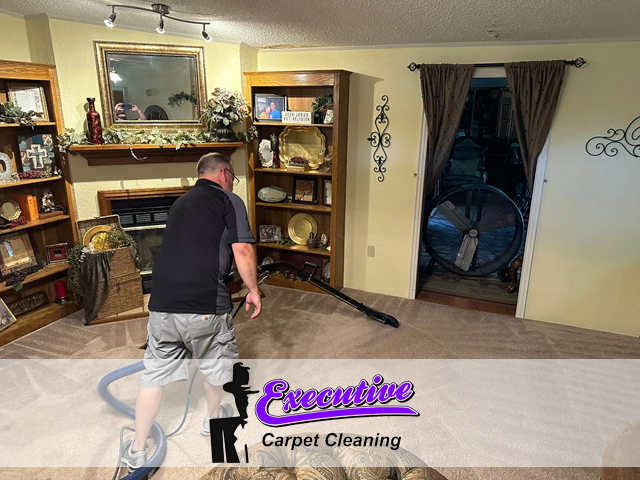 Expert Carpet Cleaning