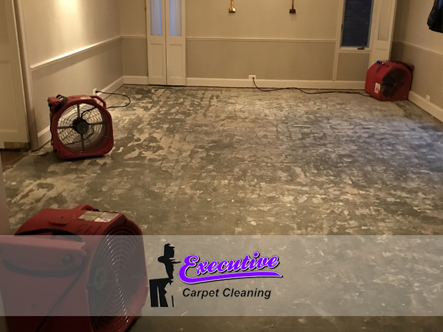 Applied Structural Drying Service(2)