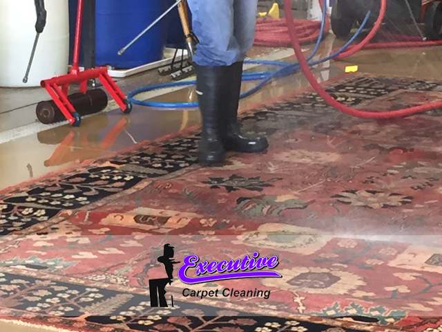 Area Carpet Cleaning Service(2)