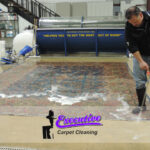 Carpet Cleaning Services in Enid, Oklahoma: Expert Solutions for a Cleaner Home