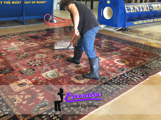 Persian Carpet Cleaning Service