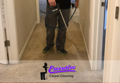 Persian Carpet Cleaning in Enid, Oklahoma: A Comprehensive Service by Executive Water Restoration