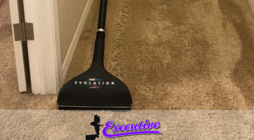 Wall-to-Wall Carpet Cleaning Services in Enid, Oklahoma: Expert Care for Your Home