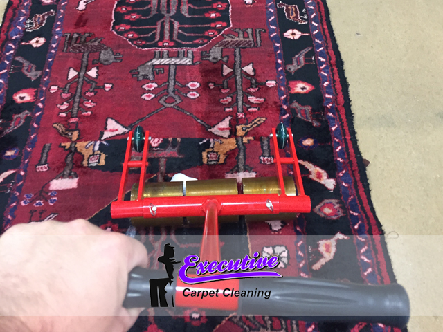 Pet Odor Removal Service(2)