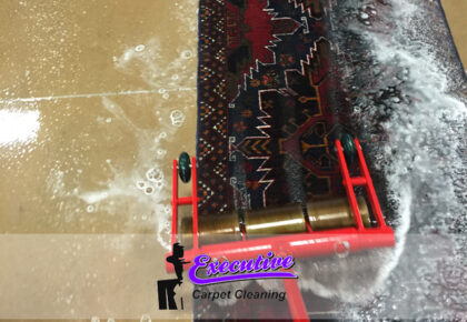 Comprehensive Pet Odor Removal Services in Enid, Oklahoma