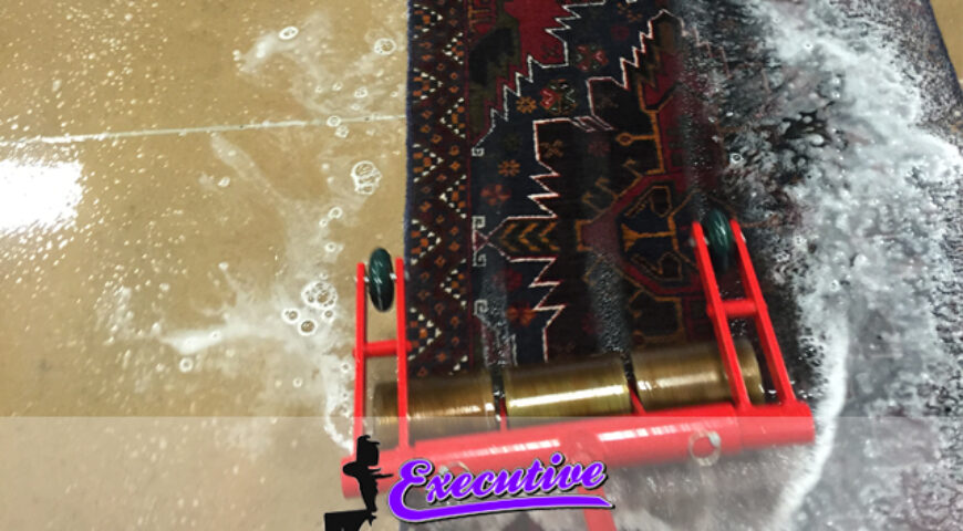 Comprehensive Pet Odor Removal Services in Enid, Oklahoma